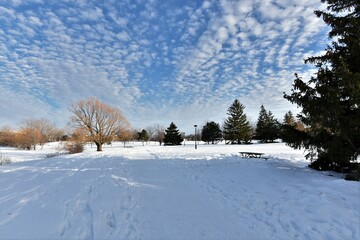 Winter landscape with snow covered trees