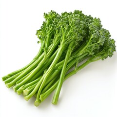 Ultra Hd Picture of a Photo Broccolini, Isolated on a White Background