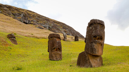 Rapa nui