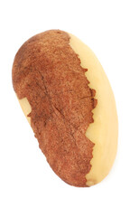One tasty Brazil nut isolated on white