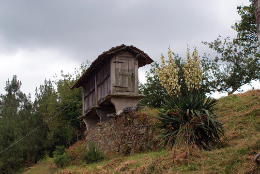 Traditional old Galician family farm h&oacute;rreo made of wood and stone, outdoor farmhouse food pantry, rural country house granary in nature on cloudy spring day in Melide village, La Coru&ntilde;a, Galicia. 	