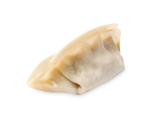 Naklejka premium One fresh gyoza dumpling isolated on white