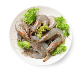 Fresh raw shrimps and lettuce isolated on white, top view