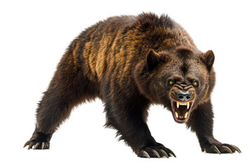 Fototapeta premium Large brown bear snarling fiercely with yellow eyes and visible teeth isolated on transparent background. Aggressive animal illustration