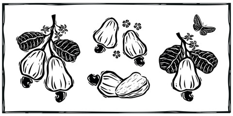 Collection of cashew, chestnut, fruits, flowers and compositions. Illustration in the style of cordel, woodcut. Vectors isolated on white background..eps
