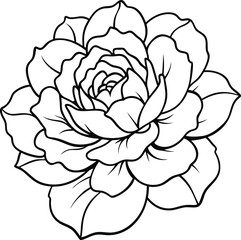 A lush pink peony with soft, layered petals