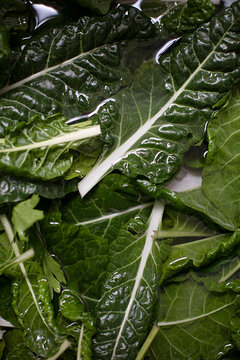Close up of freshly picked silverbeet spinach leaves in water