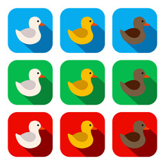 Colorful Rubber Ducks