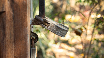 Old padlock on a wooden door in the forest