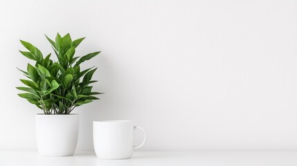 Minimalist Plant and Coffee Cup on White Surface