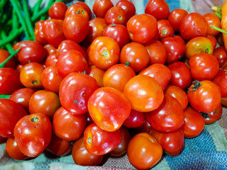 Fresh Tomatoes Harvested for Sale at Traditional Markets in Indonesia