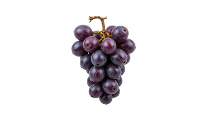 Fototapeta premium Fresh ripe purple grape bunch on white background