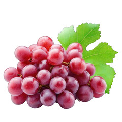 Fototapeta premium Collection of PNG. A Cluster of Red Grapes, isolated on a transparency background.