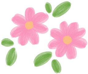 Illustration of a small Pink Daisy flower blooming
