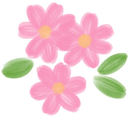 Illustration of a small Pink Daisy flower blooming