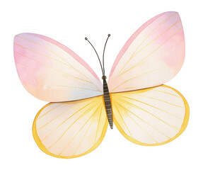 PNG Butterfly illustration watercolor pastel.