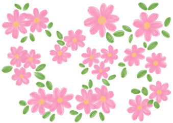 Set Illustration of a small Pink Daisy flower blooming