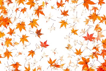 Autumn leaves on a white background. Seamless pattern
