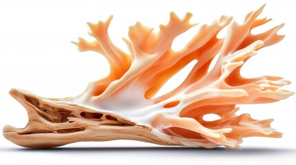 Coral sculpture underwater scene decorative art marine environment close-up view nature's beauty