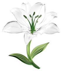 Obraz premium PNG Lily flower lily glass art.