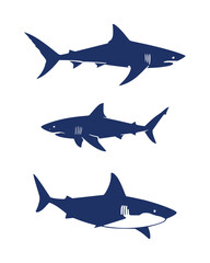 Minimalist shark illustrations