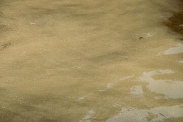 A close-up of spring pollen on the surface of a lake creating textured clouds in the water
