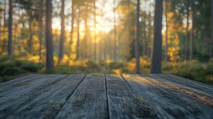 Golden Hour in the Woods: Serene Wooden Table in a Sun-Drenched Forest
