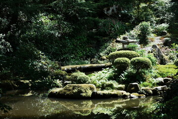 fountain in garden © Will