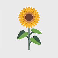 A Flat-Style Sunflower on a Plain White Background