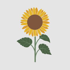 A Flat-Style Sunflower on a Plain White Background