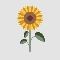 A Flat-Style Sunflower on a Plain White Background