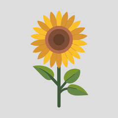 A Flat-Style Sunflower on a Plain White Background