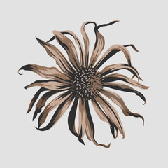 A Flat-Style Wilted flower on a Plain White Background