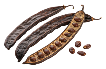 Harvesting carob pods farm nature rural setting isolated on transparent background