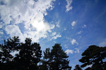 青い空と木々の緑