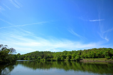 広がる青空と緑が映る水面