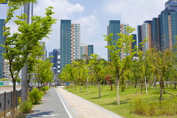 Greenery and Urban Skyline in Sejong City © koreabybike