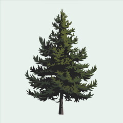 A Flat-Style pine tree on a Plain White Background