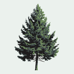 A Flat-Style pine tree on a Plain White Background