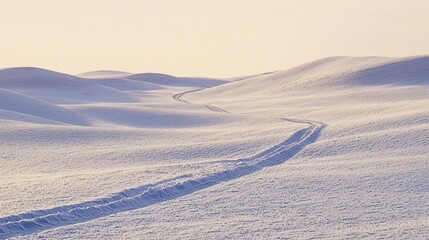 Distant Caravan Tracks Weaving Across Snowy Landscape in Winter