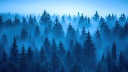 Fototapeta premium Misty Forest Landscape with Evergreen Trees in Blue Tones Serene Nature Scene with Foggy Atmosphere and Scenic View of Woodland Environment