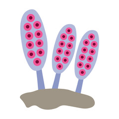 Ascospores