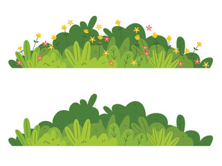Grass bush, ggreen bush blossom, shrubs during flowering and non flowering seasons