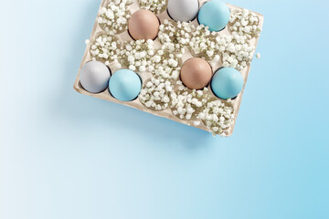 Pastel Easter Eggs with white Flowers in Carton box on Blue Background, top view chicken egg painted sky blue, beige colors. Easter celebration concept. Festive food, minimal still life holiday