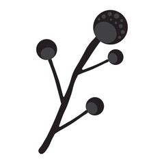 Sporangiospores glyph icon