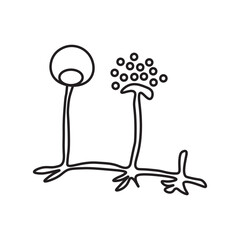 Sporangiospores line icon