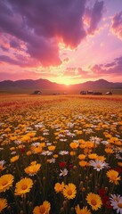 Fototapeta premium Beautiful landscape of a blooming meadow with colorful flowers and a stunning sky for smartphone wallpaper 
