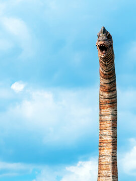 Toy Dinosaur head. Dinosaur head on sky background. View of a dinosaur head sculpture against blue sky. Brachiosaurus with blue sky background. A long necked brachiosaurus head in the forest sky.