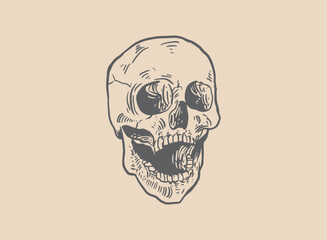 Illustration of an Head Skull Engraving