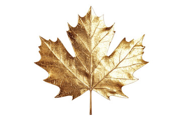 Fototapeta premium Golden Maple Leaf Isolated on White Background for Artistic Use